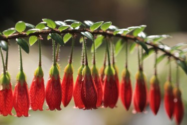 佛山南海私人快速借钱网，轻松解决资金难题